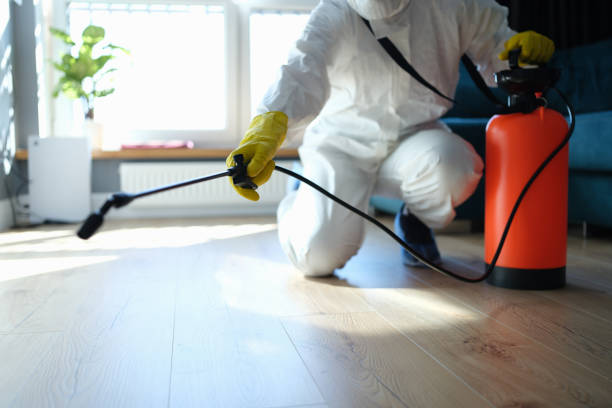 Trusted Sewage Cleanup service in Atkinson, IL - Four Month Blood Cleanse